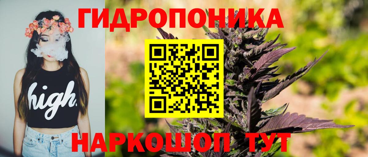 Марихуана сатива Дивногорск
